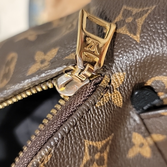 💯% Auth Louis Vuitton Palm Springs Backpack - PM - Picture 11 of 12